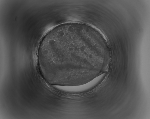 X0000086731363200705111606