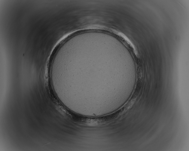 X0000086731364200705111606
