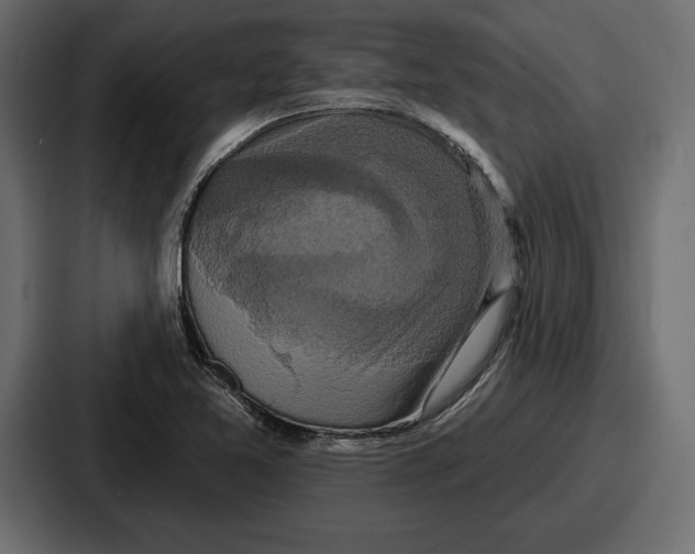 X0000086731365200705111606