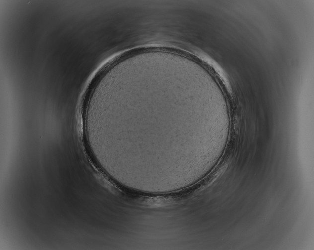X0000086731368200705111606