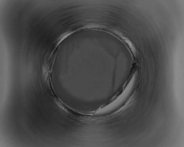 X0000086731369200705111606