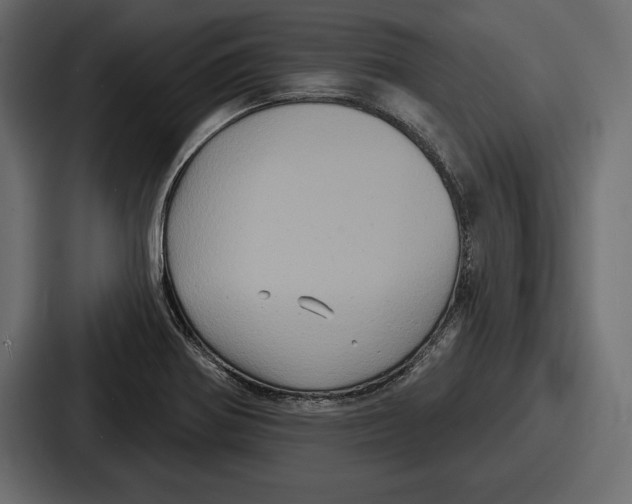 X0000086731370200705111606