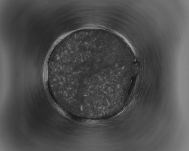 X0000086731371200705111606