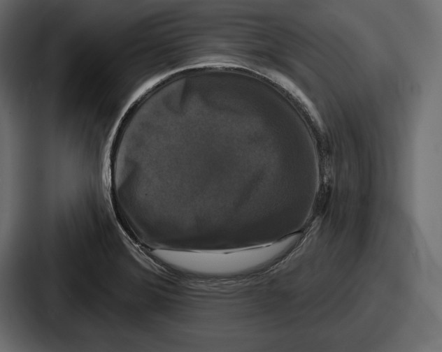X0000086731372200705111606