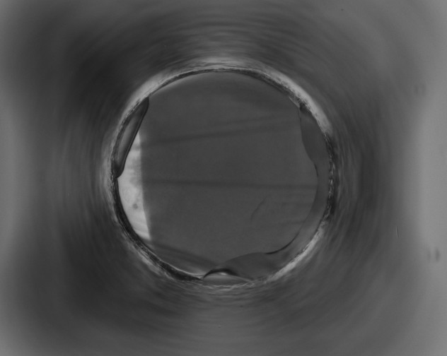 X0000086731373200705111606