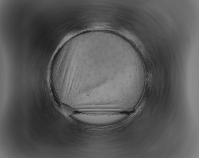X0000086731374200705111606