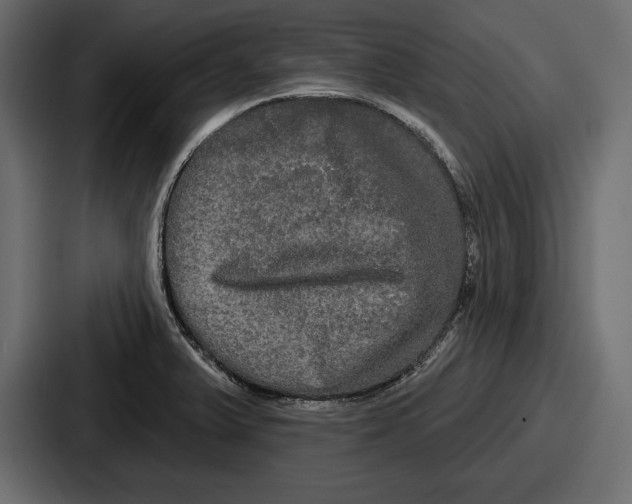 X0000086731375200705111606