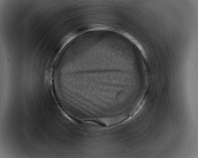X0000086731377200705111606