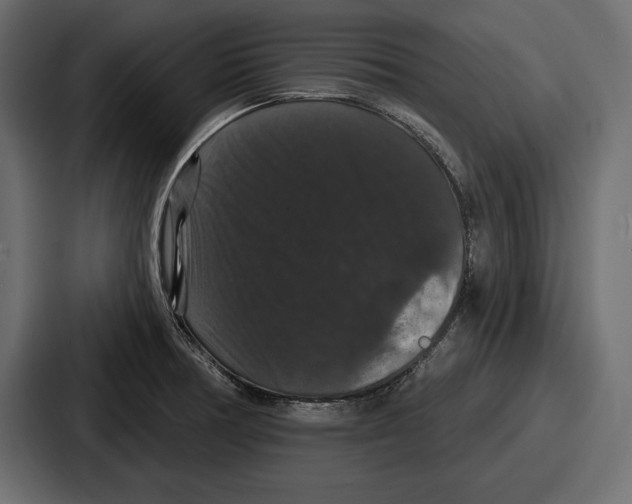 X0000086731378200705111606