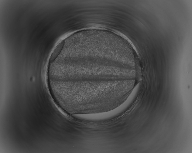 X0000086731379200705111606