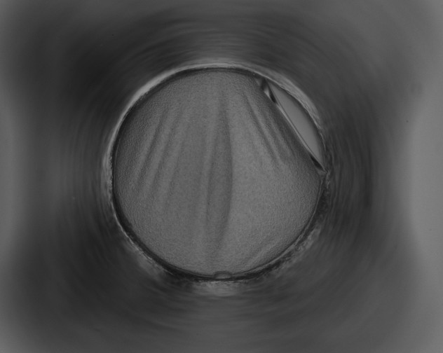 X0000086731380200705111606