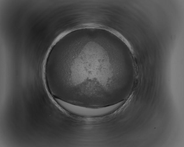 X0000086731381200705111606