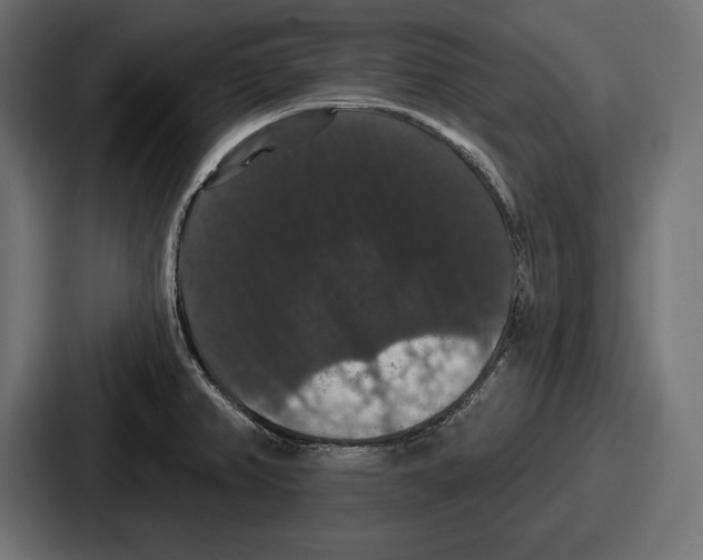 X0000086731382200705111606