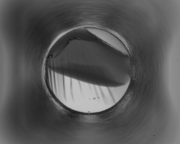 X0000086731383200705111606