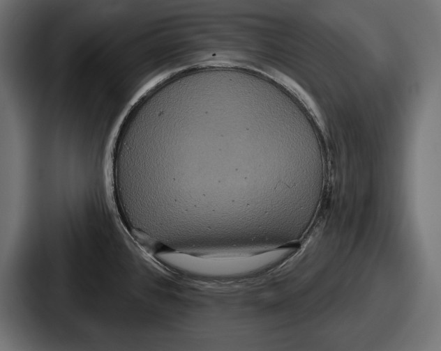 X0000086731384200705111606