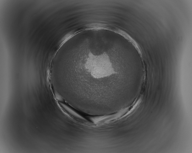 X0000086731385200705111606