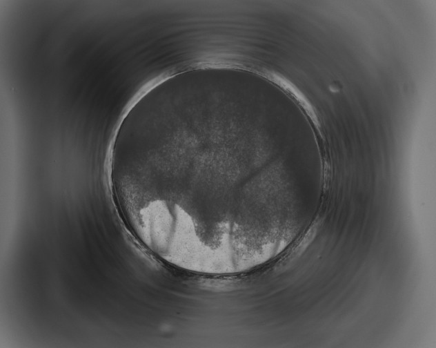 X0000086731386200705111606