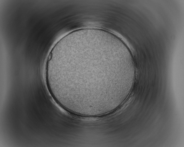 X0000086731387200705111606