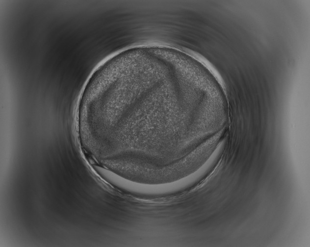 X0000086731388200705111606