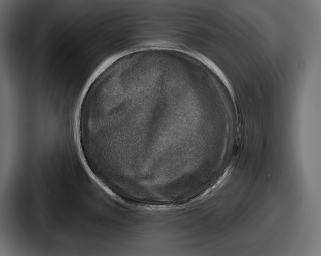 X0000086731389200705111606