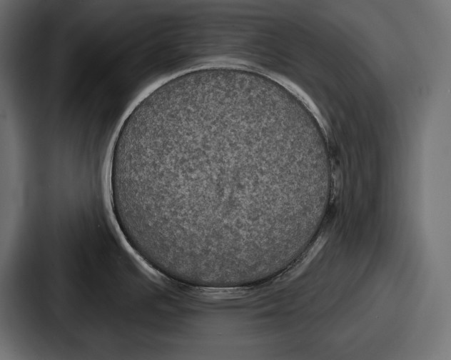 X0000086731391200705111606