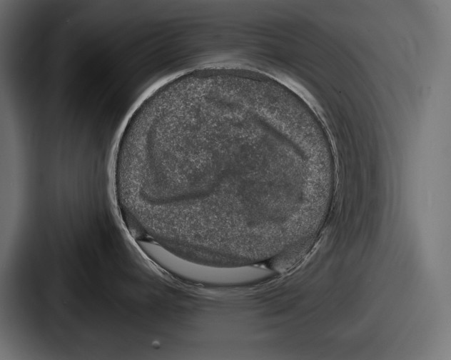X0000086731392200705111606