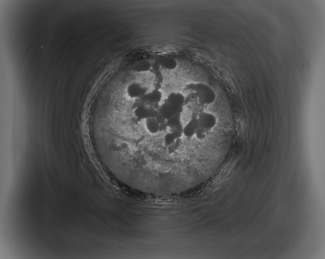X0000086731393200705111605