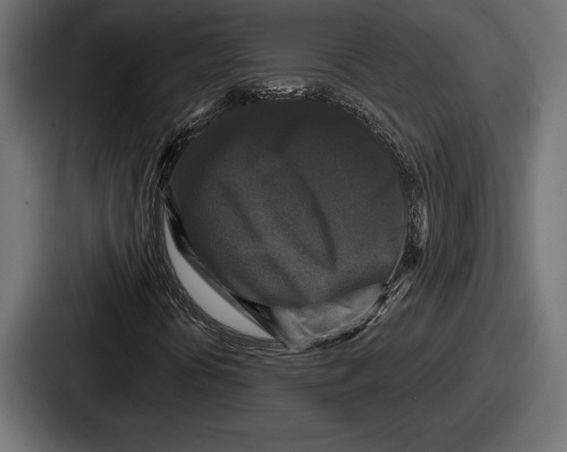 X0000086731394200705111605