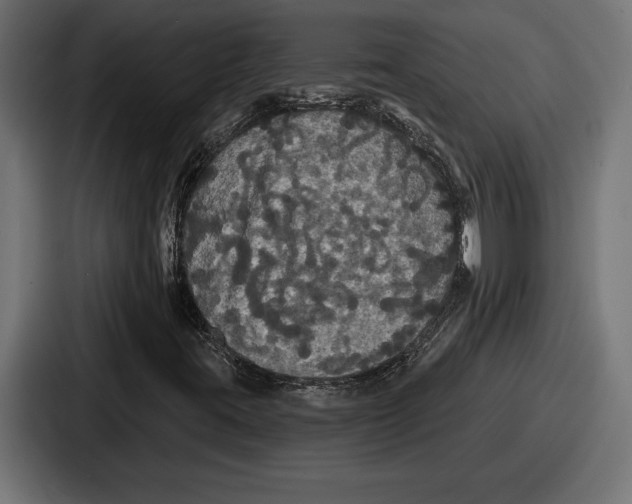 X0000086731395200705111605