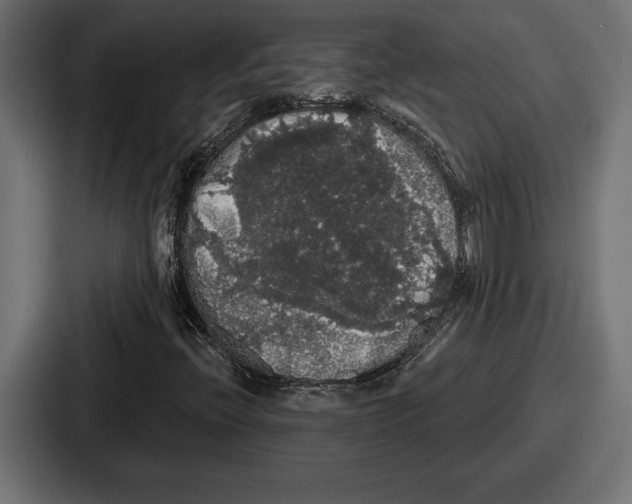X0000086731396200705111605