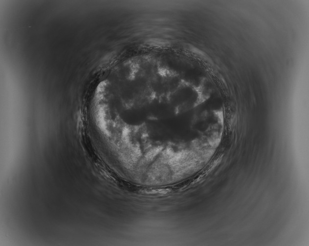 X0000086731397200705111605