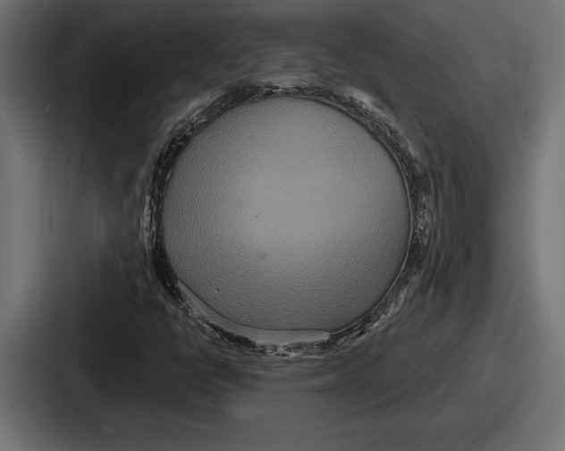 X0000086731398200705111605