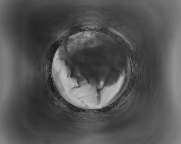 X0000086731399200705111605