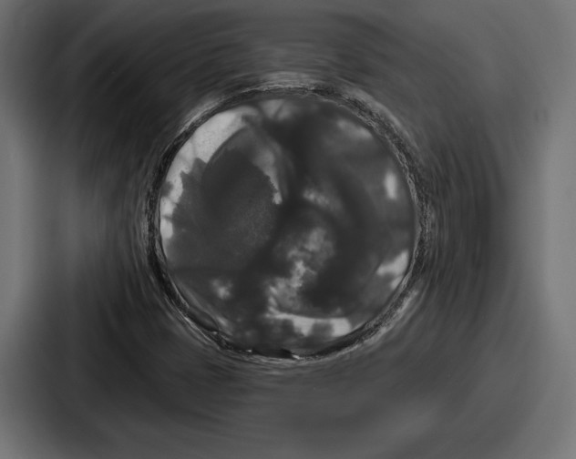 X0000086731401200705111605