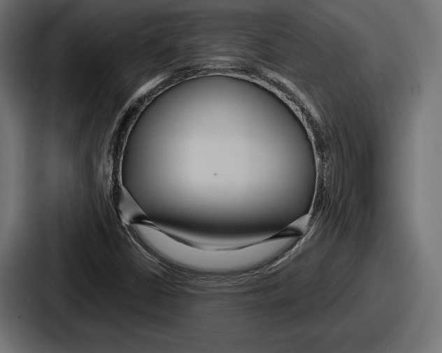 X0000086731402200705111605