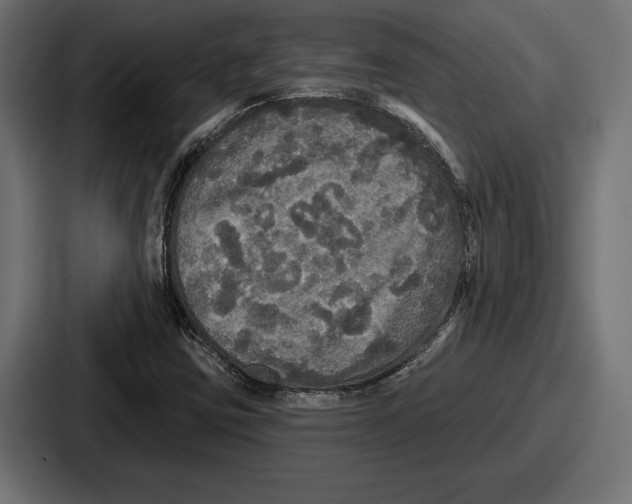 X0000086731403200705111605