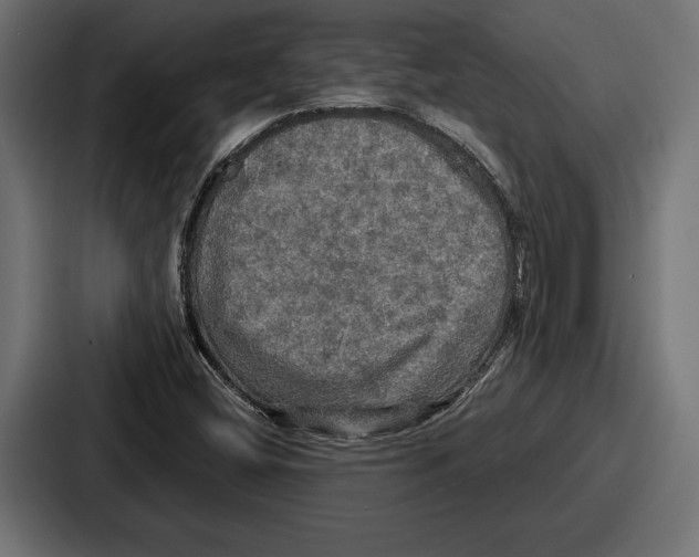 X0000086731404200705111605
