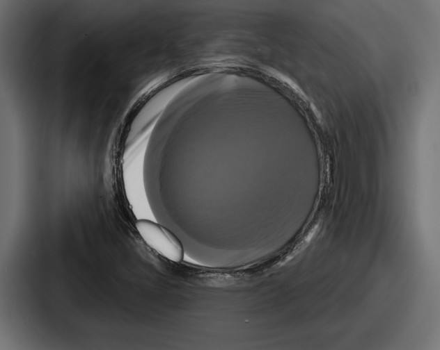 X0000086731405200705111605