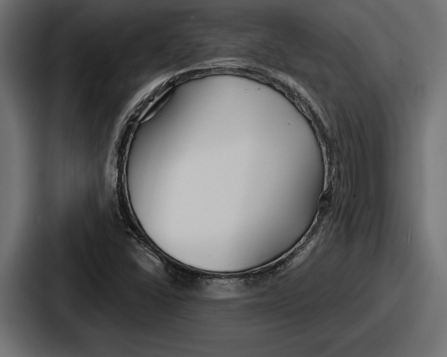 X0000086731406200705111605