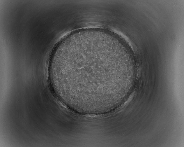 X0000086731407200705111606