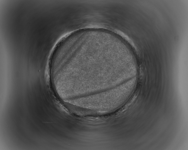 X0000086731408200705111606