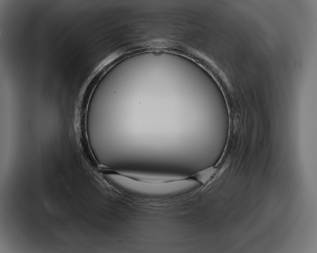 X0000086731410200705111606
