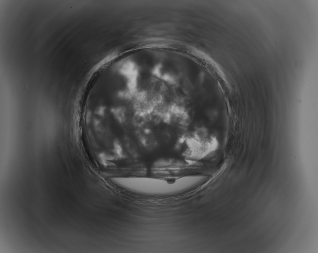 X0000086731411200705111606
