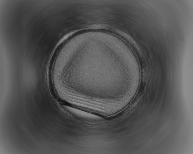 X0000086731412200705111606