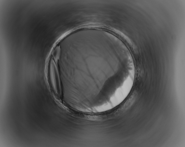 X0000086731413200705111606