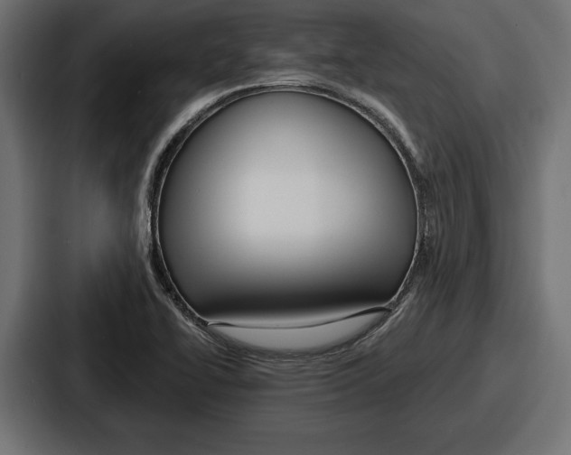 X0000086731414200705111606