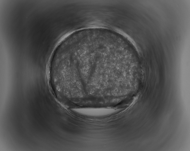 X0000086731415200705111606