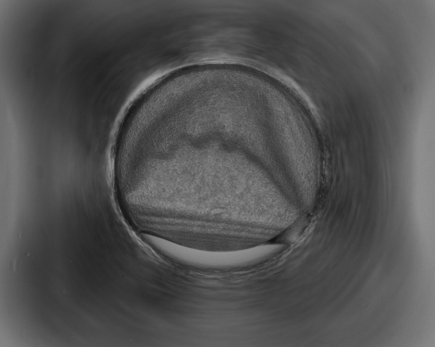 X0000086731416200705111606