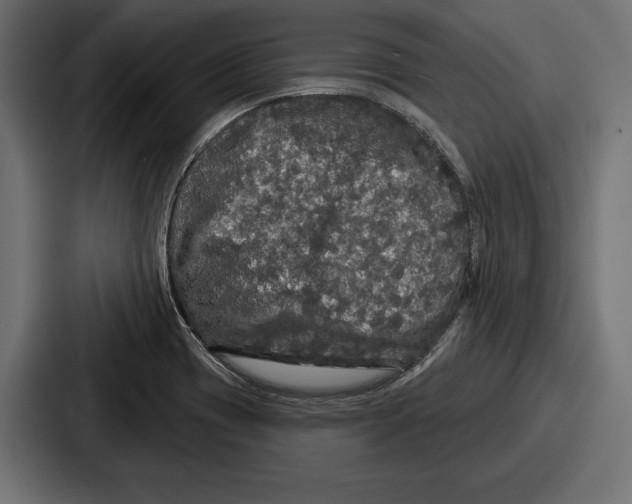 X0000086731417200705111606