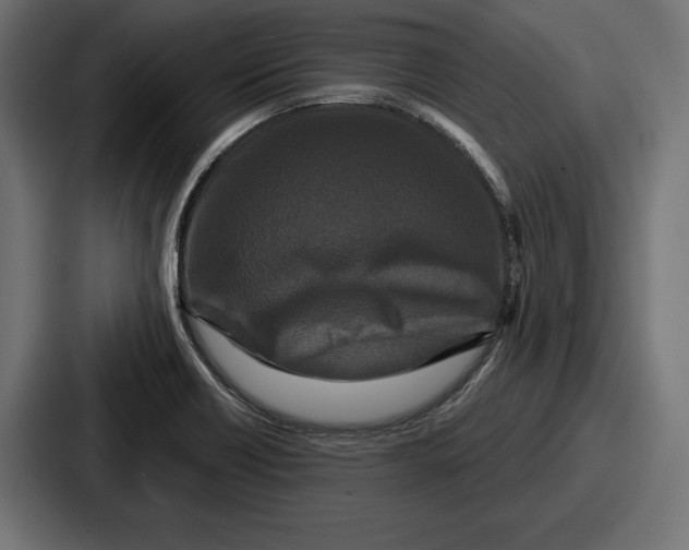 X0000086731418200705111606